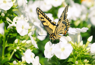 Similar image 1020951