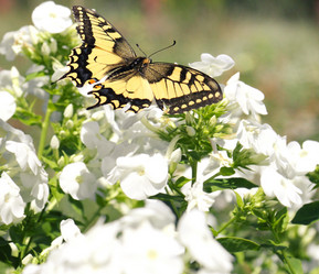 Similar image 1020954