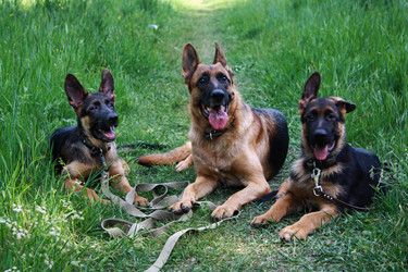 Similar image 1020957