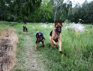 Similar image 1020963