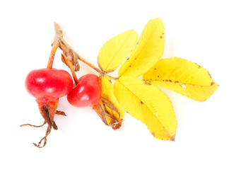 Similar image 1020977