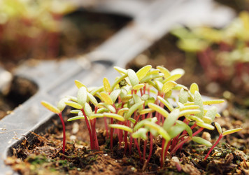 Similar image 1020987