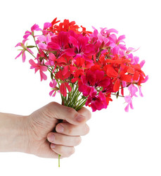 Similar image 1020992