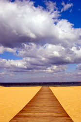 Similar image 1021026