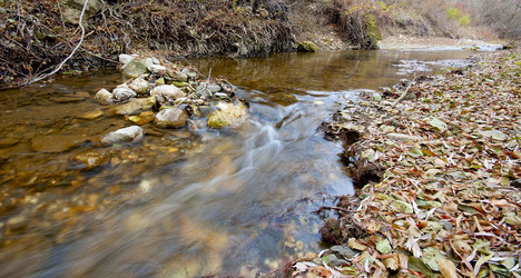 Similar image 1021044