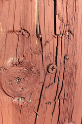 Similar image 1021053