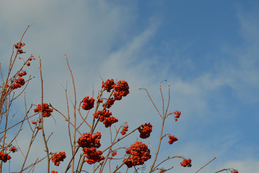 Similar image 1021095