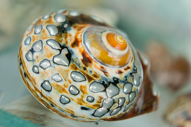 Similar image 1021108