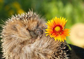 Similar image 1021127