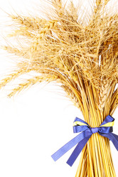 Similar image 1021130