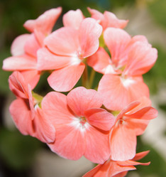 Similar image 1021133