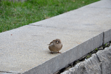 Similar image 1021139