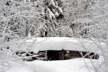 Similar image 1021143