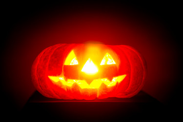 Similar image 1021216