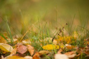 Similar image 1021238