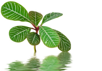 Similar image 1021244