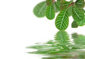 Similar image 1021245