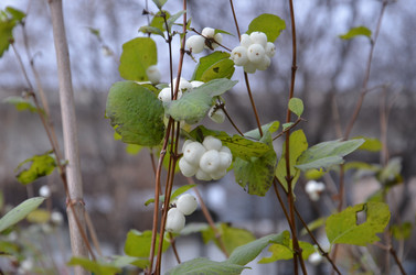 Similar image 1021271