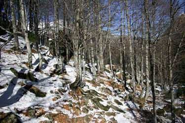 Similar image 1021286