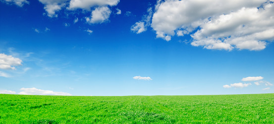 Similar image 1021297