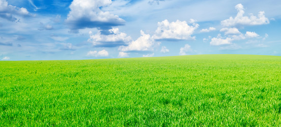 Similar image 1021299