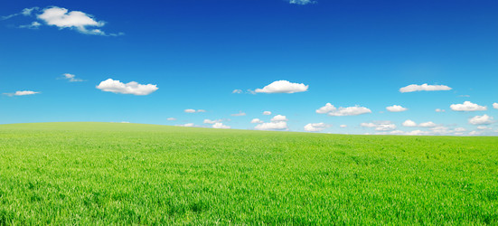 Similar image 1021300