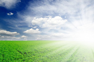 Similar image 1021302