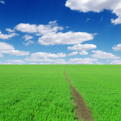 Similar image 1021303