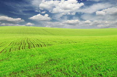 Similar image 1021308