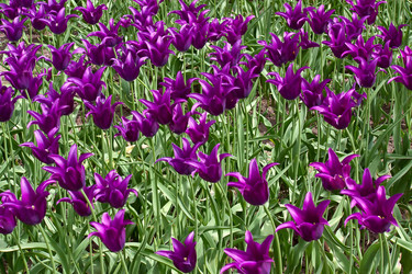 Similar image 1021309