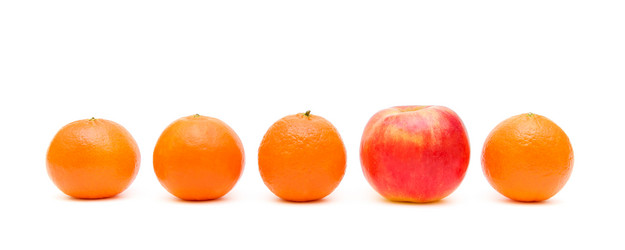 Similar image 1021323