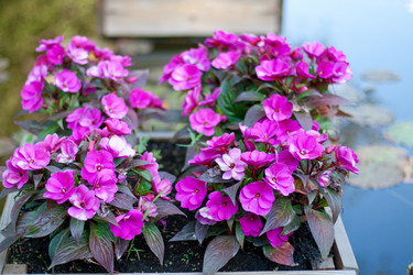 Similar image 1021358