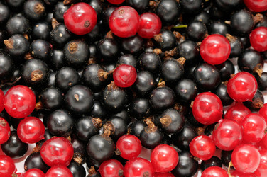 Similar image 1021359