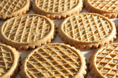 Similar image 1021384