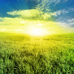 Similar image 1021392