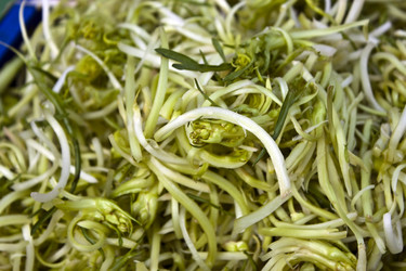 Similar image 1021406