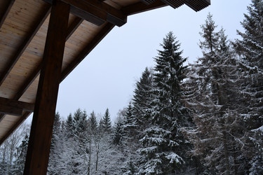 Similar image 1021417