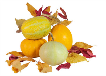 Similar image 1021419