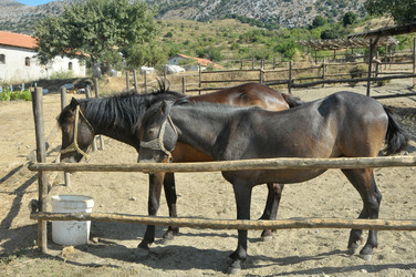 Similar image 1021441