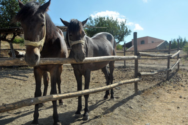 Similar image 1021449