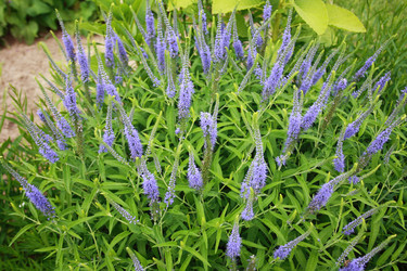 Similar image 1021478