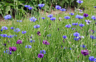 Similar image 1021481