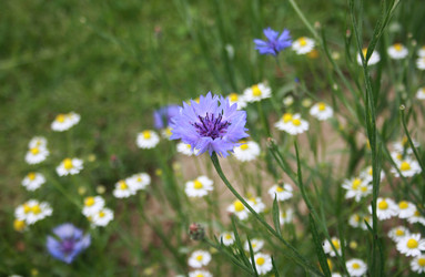 Similar image 1021483