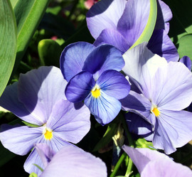 Similar image 1021492