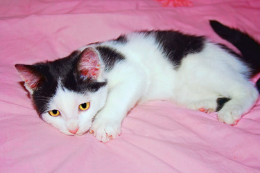 Similar image 1021542