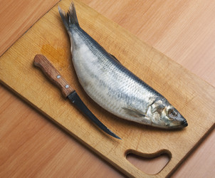 Similar image 1021547