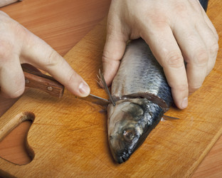 Similar image 1021548