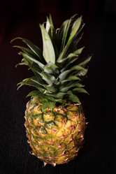 Similar image 1021554