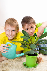 Similar image 1021596