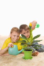 Similar image 1021597